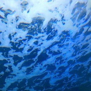 Meet your Posher, Lily